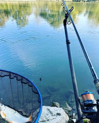 Preston Ascension feeder 4,0m + Preston Intensity 720 = river fishing